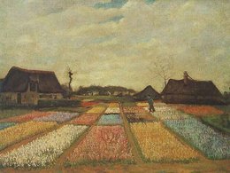 Den Haag (1881-1883)