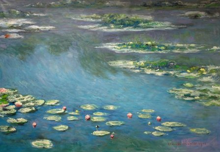 water lilies monet other proportions