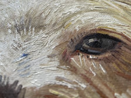 Van Dogh, your dog painted in oil on canvas in Van Gogh style detail