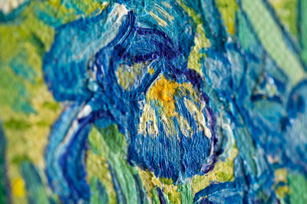Irises framed Van Gogh reproduction detail