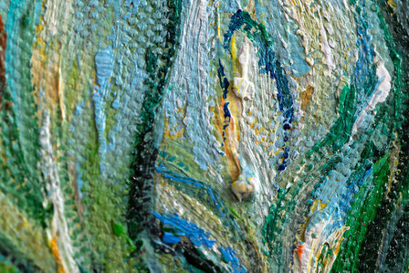 detail Giant Peacock Moth framed Van Gogh reproduction