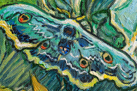 Giant Peacock Moth framed Van Gogh replica detail