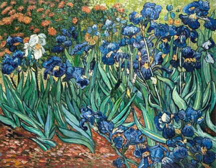 Irises Van Gogh oil painting reproduction