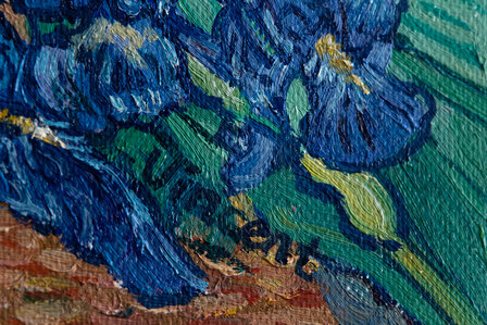 detail Irises framed Vincent van Gogh replica