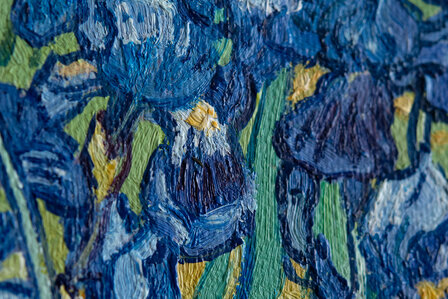 Irises framed Vincent van Gogh reproduction detail