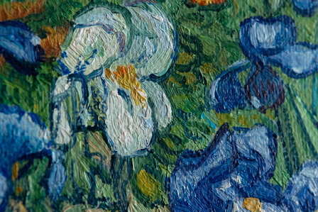 Irises framed Vincent van Gogh replica detail