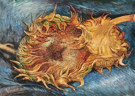 Two Cut Sunflowers Oil painting Reproduction