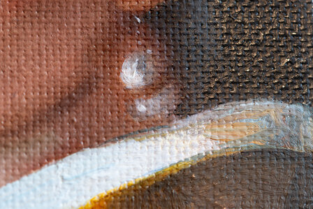 Girl with a Pearl Earring Vermeer framed reproduction detail