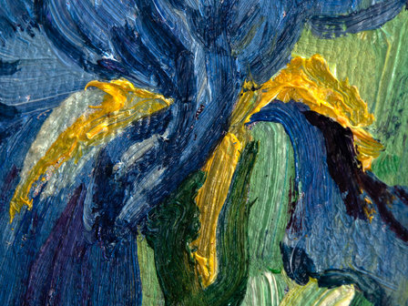 Irissen mini schilderij, geschilderd in olieverf op doek