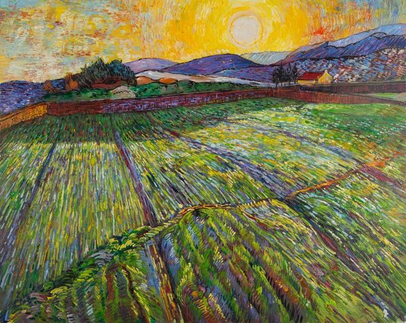 Wheat Field at Sunrise Van Gogh reproduction
