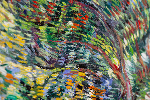 detail The Garden of the Asylum Van Gogh reproduction