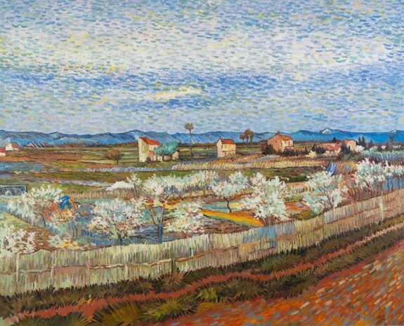 La Crau with Peach Trees in Blossom Van Gogh oil painting reproduction.jpg