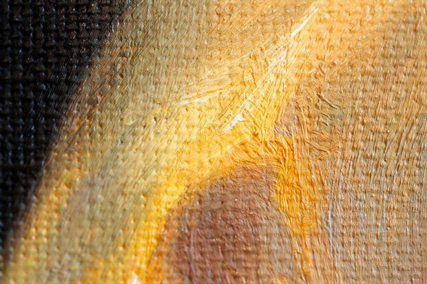 Girl with a Pearl Earring Vermeer framed replica detail