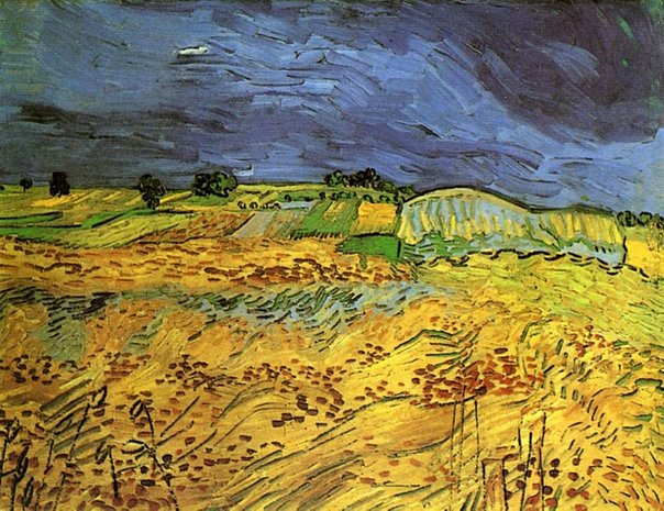The Fields Van Gogh Reproduction