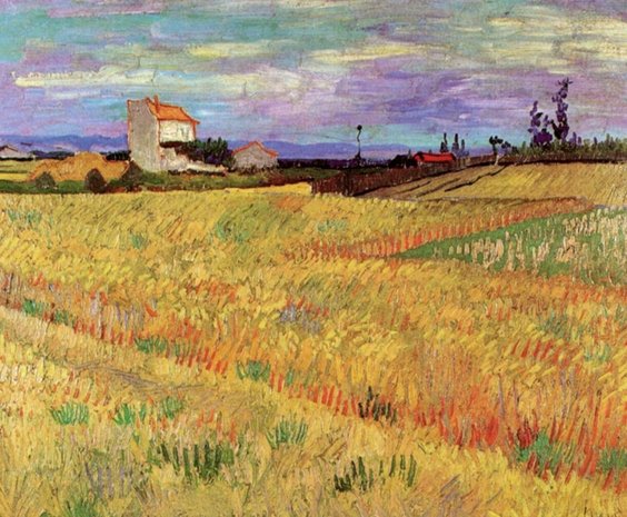 Wheat Field Van Gogh reproduction