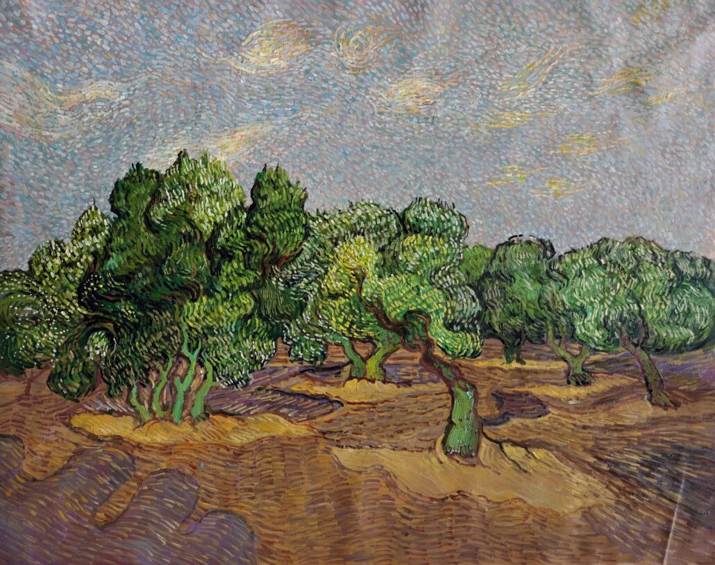 Olive Orchard Van Gogh replica
