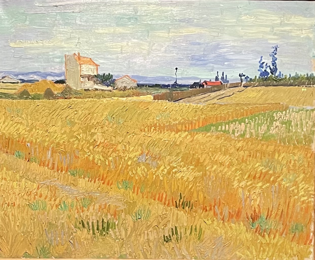 Wheat Field Van Gogh reproduction
