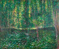 Bos met kreupelhout Van Gogh reproductie in olieverf op doek