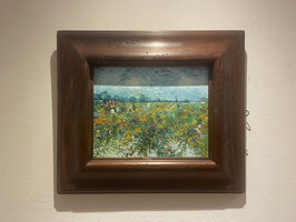 De Groene Wijngaard ingelijste Van Gogh reproductie, geschilderd in olieverf op doek