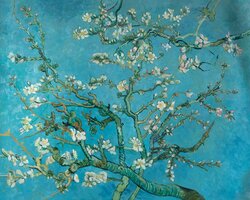 Amandelbloesem Van Gogh reproductie, geschilderd in olieverf op doek