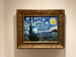 Starry Night Vincent van Gogh reproductie ingelijst, geschilderd in olieverf op doek