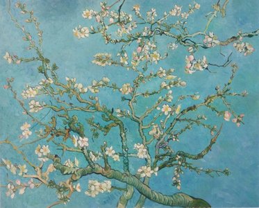 Blossoming Almond Tree reproduction